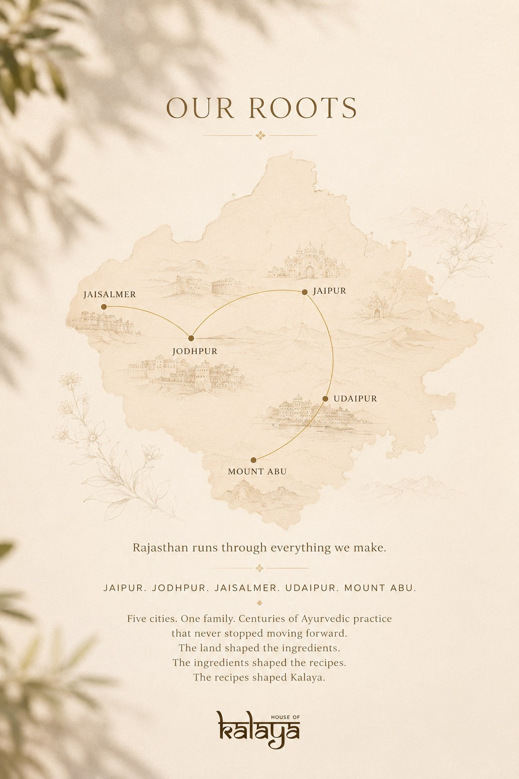 Our Roots: Where Ancient Wisdom Meets Modern Living